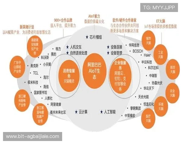 K8视讯公司在网络游戏行业中的合作伙伴关系与行业生态布局分析